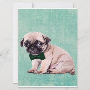 Cute Pug Dog Gift Cute Dog for Birthday