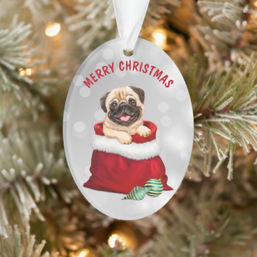 Cute Pug Dog Gift Surprise Ornament (Boom)