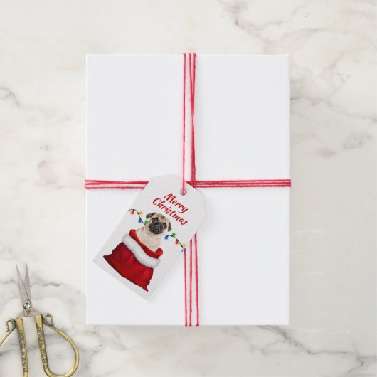 Cute Pug Dog in Santa Bag Cadeaulabel (Met Touw)