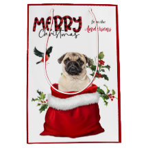 Cute Pug Dog Kerstmis