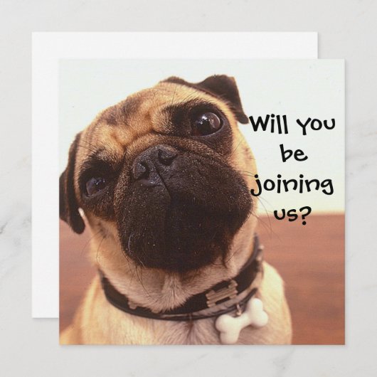 Cute Pug Dog Persoonlijke Partij nodigt u uit Kaart (Voorkant / Achterkant)