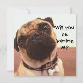 Cute Pug Dog Persoonlijke Partij nodigt u uit Kaart (Voorkant)