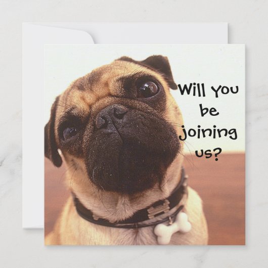 Cute Pug Dog Persoonlijke Partij nodigt u uit Kaart (Voorkant)
