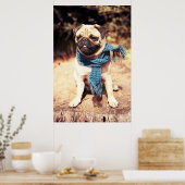 Cute Pug Dog Portret met Blue Scarf Poster (Keuken)