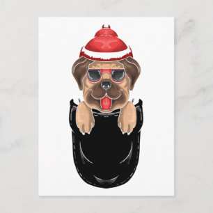 Cute Pug Dog Sits in Pocket Briefkaart