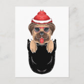 Cute Pug Dog Sits in Pocket Briefkaart (Voorkant)