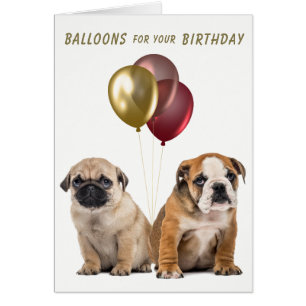 Cute Pug en Bulldog Puppies Birthday Card