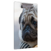Cute Pug Face Closeup Klembord (Rechts)