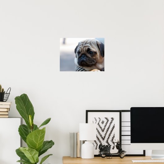 Cute Pug Face Closeup Poster (Thuiskantoor)