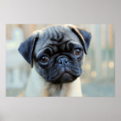 Cute Pug Mok Poster (Voorkant)