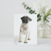 Cute Pug Puppy Briefkaart (Staand voorkant)