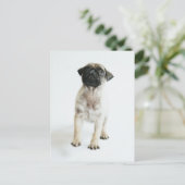 Cute Pug Puppy Briefkaart (Staand voorkant)