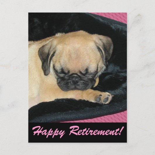 Cute Pug Puppy Briefkaart (Voorkant)