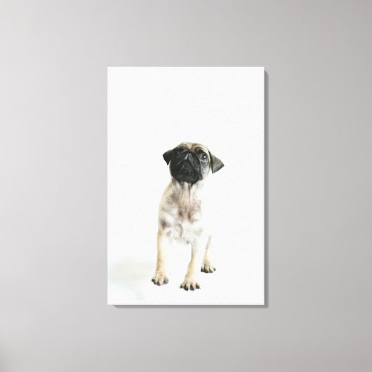 Cute Pug Puppy Canvas Afdruk (Voorkant)