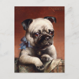 Cute Pug Puppy Dog Briefkaart