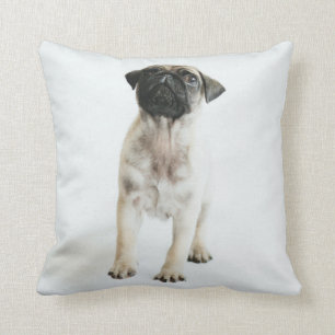 Cute Pug Puppy Kussen