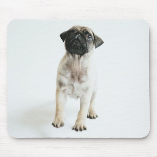 Cute Pug Puppy Muismat (Voorkant)