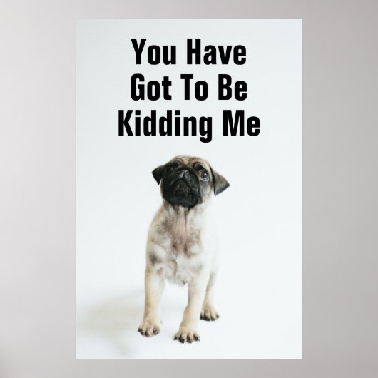 Cute Pug Puppy Poster (Voorkant)