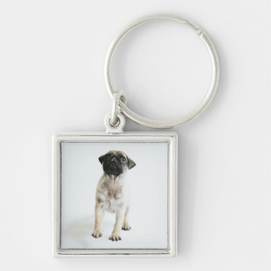 Cute Pug Puppy Sleutelhanger (Voorkant)