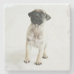 Cute Pug Puppy Stenen Onderzetter