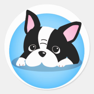 Cute Pug Puppy - Sticker