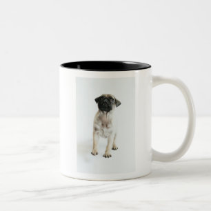 Cute Pug Puppy Tweekleurige Koffiemok