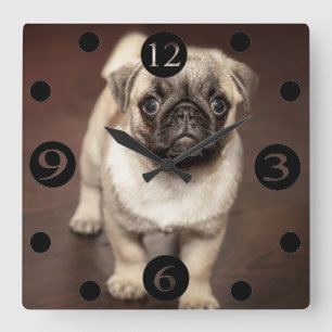 Cute Pug Vierkante Klok