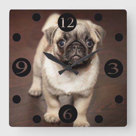 Cute Pug Vierkante Klok (Voorkant)