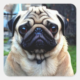 Cute Pug Vierkante Sticker