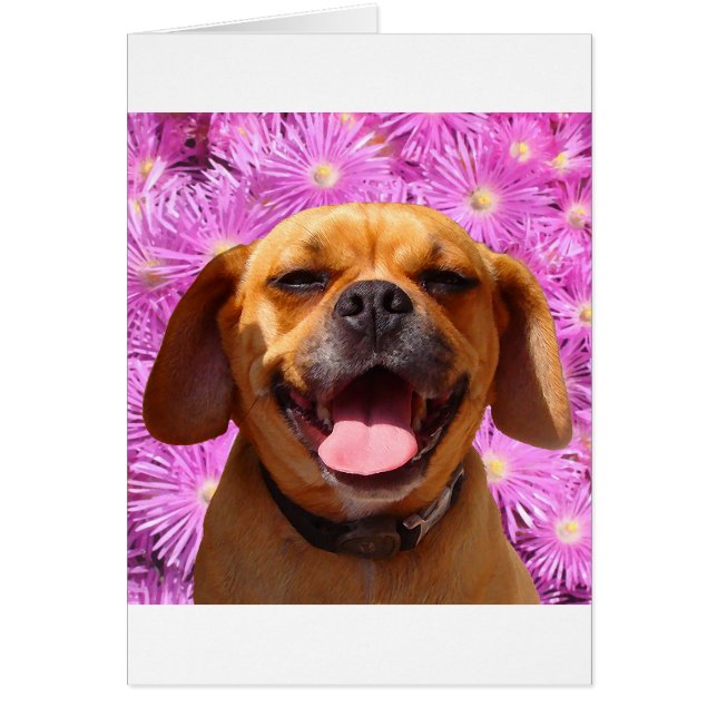 Cute Puggle (Voorkant)