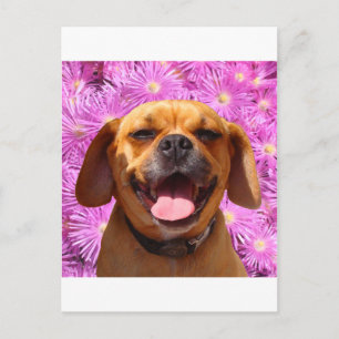 Cute Puggle Briefkaart