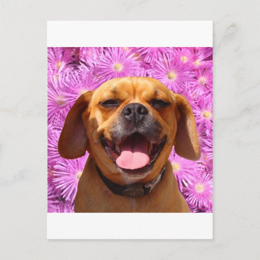 Cute Puggle Briefkaart (Voorkant)