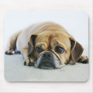 Cute Puggle Mousepad Muismat
