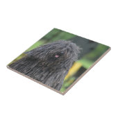 Cute Puli Dog Tegeltje (Zijkant)