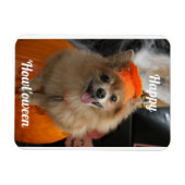 Cute Pumpkin Dog Photo Magnet Magneet (Horizontaal)