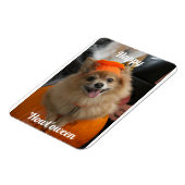 Cute Pumpkin Dog Photo Magnet Magneet (Linkerzijde)