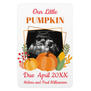 Cute Pumpkin Zwangerschap Aankondiging Baby Scan Magneet