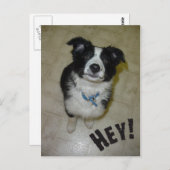Cute Pup Briefkaart (Voorkant / Achterkant)