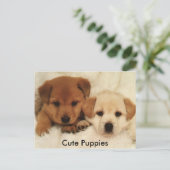 Cute Puppies Briefkaart (Staand voorkant)