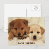 Cute Puppies Briefkaart (Voorkant / Achterkant)