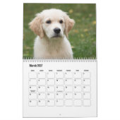 Cute Puppies Calendar Kalender (Mar 2027)