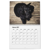 Cute Puppies Calendar Kalender (Feb 2027)