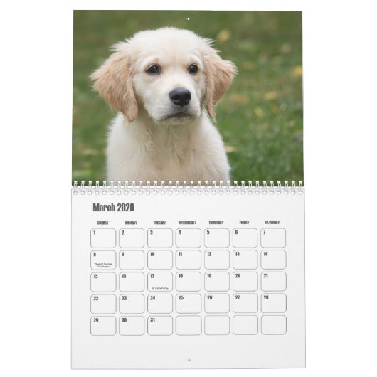 Cute Puppies Calendar Kalender (Mar 2026)