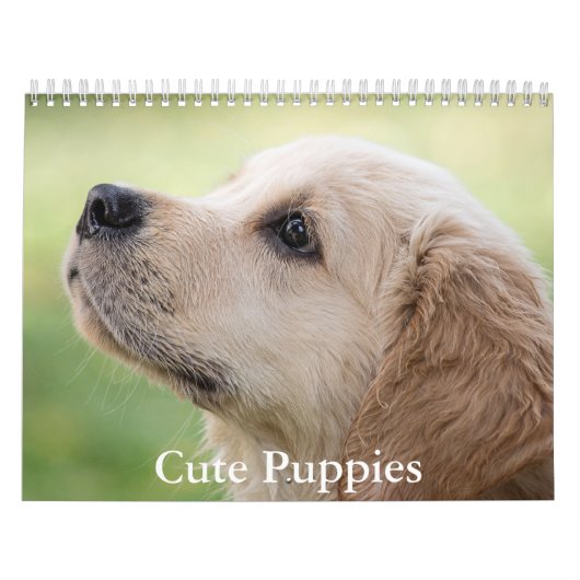 Cute Puppies Calendar Kalender (Hoes)