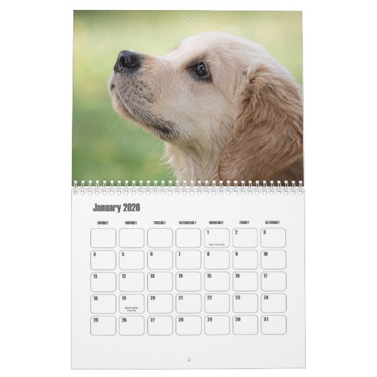 Cute Puppies Calendar Kalender (Jan 2026)