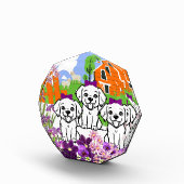 Cute puppies fotoblokken (Rechts)