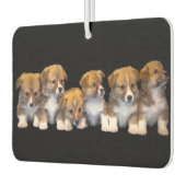 Cute Puppies Luchtverfrisser (Links)