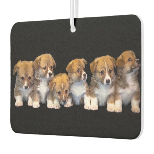 Cute Puppies Luchtverfrisser (Links)