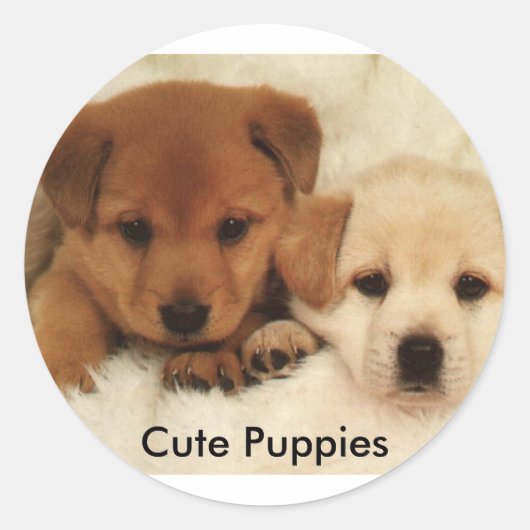Cute Puppies Ronde Sticker (Voorkant)