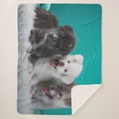 Cute Puppies Sherpa Deken (Voorkant)